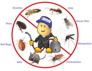 cost of pest control services swanbank