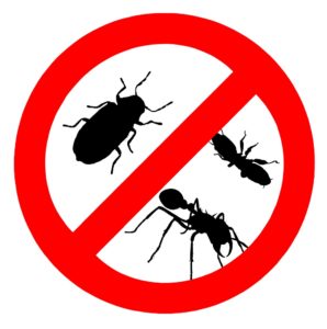 pest control prices blackstone